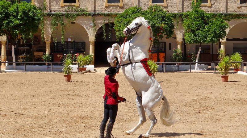 Royal Andalusian Equestrian School